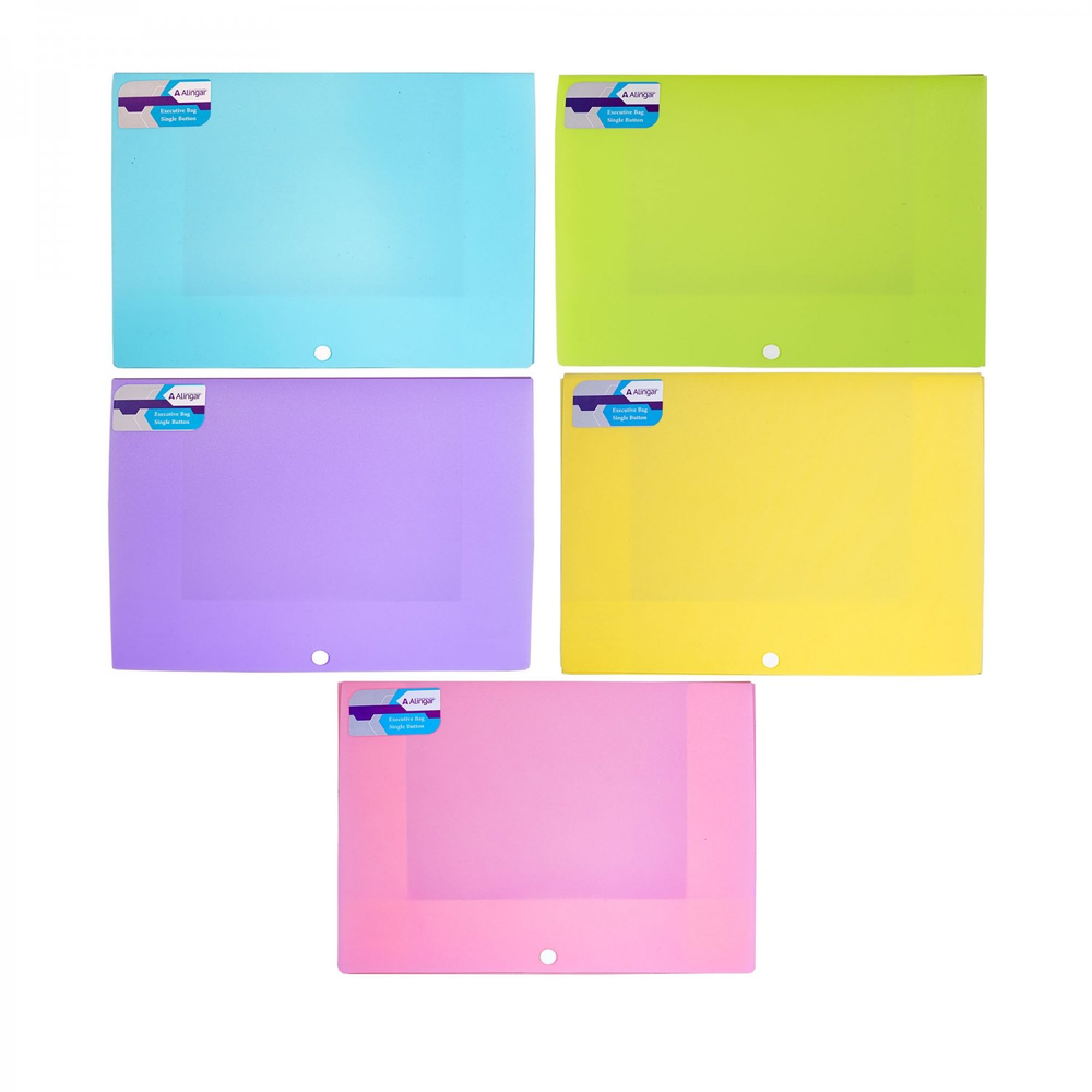 Папка на кнопке Alingar, A4, 240х320х10, 500 мкм, карман для визитки, ассорти, матовая, "Ice"