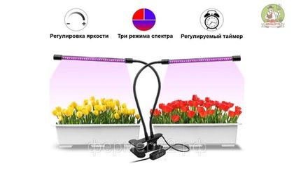 Фитосветильник 10 Вт биколор