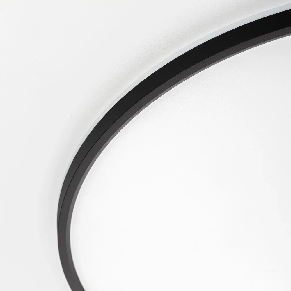 Citilux NORMA CL749601 LED RGB Светильник с пультом Чёрный