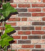 Roben, Dykbrand, облицовочная клинкерная плитка ручной формовки, фламандский пестрый, NF