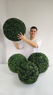 Шары самшит