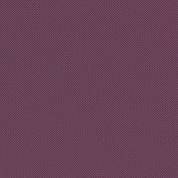 Велюр Blitz / Блитц