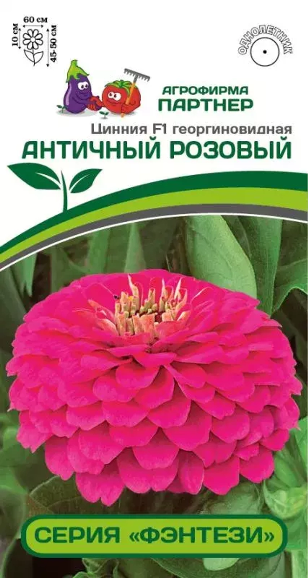 ЦИННИЯ F1 АНТИЧНЫЙ РОЗОВЫЙ / ГЕОРГИНОВИДНАЯ (ПАРТНЕР)