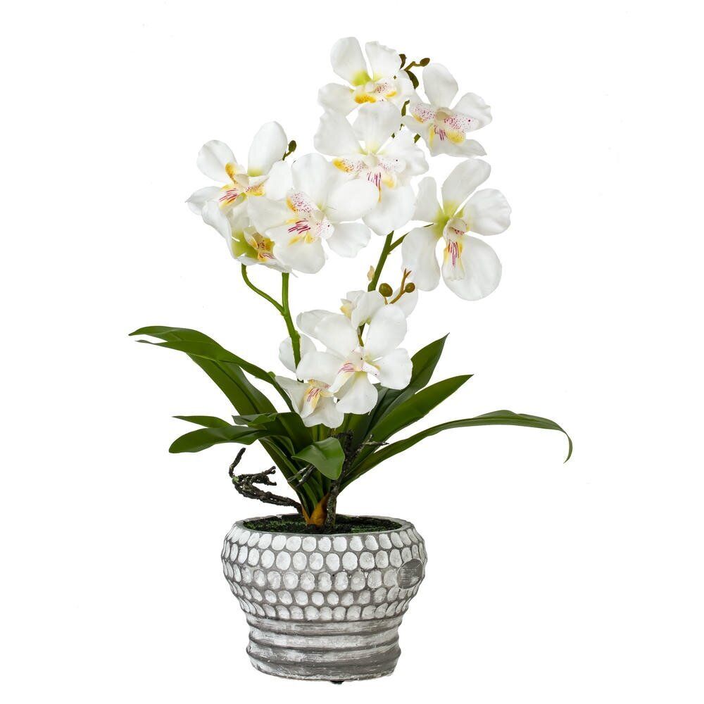 GAEM Цветочная композиция "Орхидея", L25 W23 H41 см