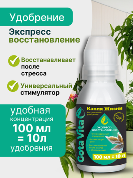 Экспресс -восстановление 100/10