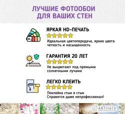 Фотообои холодное сердце Эльза 200x270