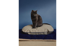 Лежак для животных Zara Home, овальный, 12 35 50 см