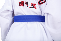 Пояс для тхэквондо ProfSport с вышивкой синий