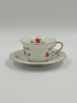 Кофейная пара Schumann