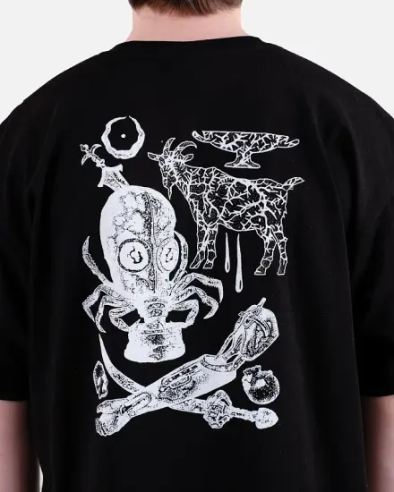 Футболка Anteater 387 чёрный