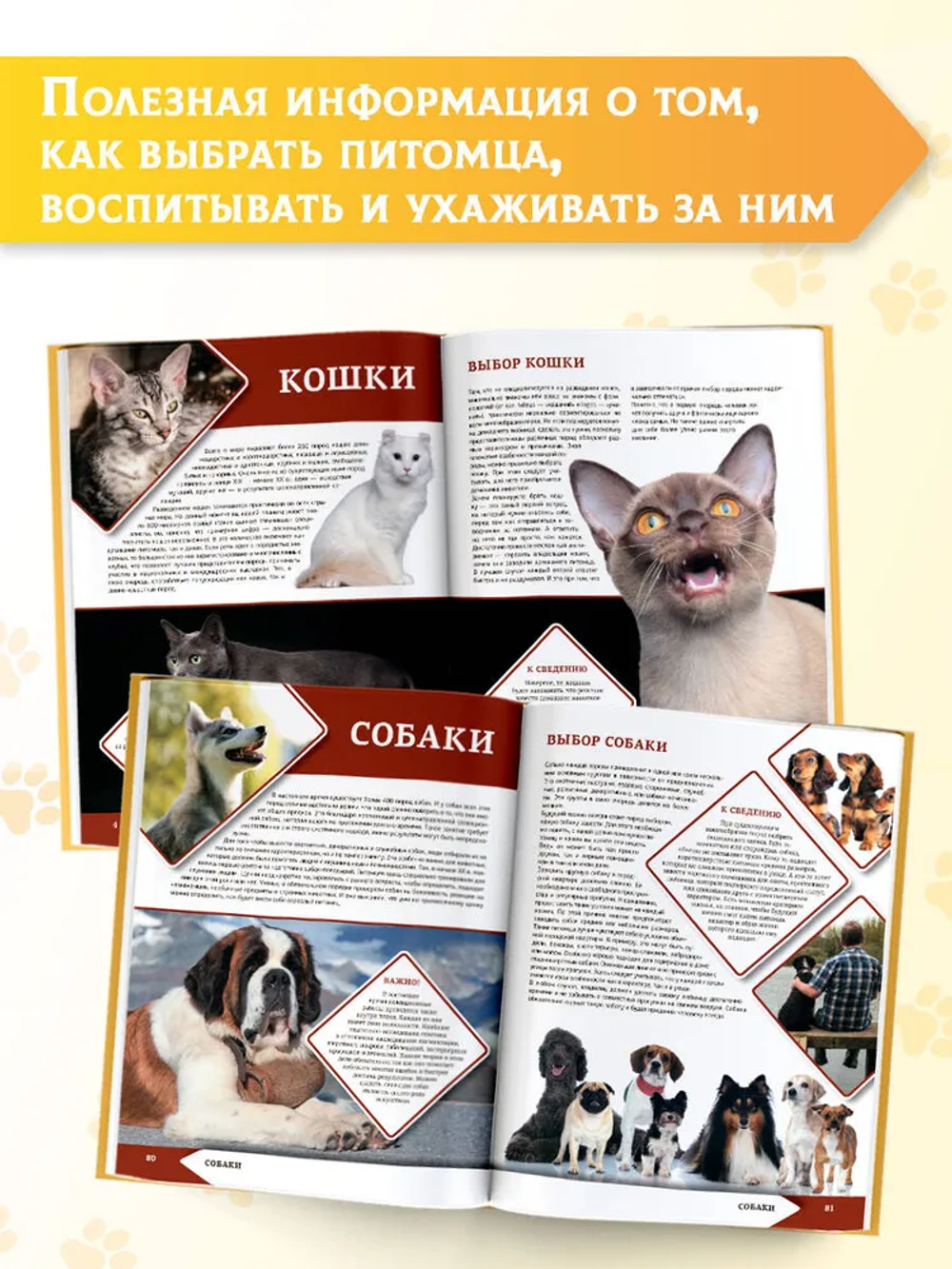 Большая энциклопедия о кошках и собаках
