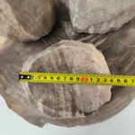 Набор из окаменелого дерева 4 предм Fossil Set NF-63282 поднос 149