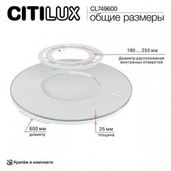 Накладной светильник Citilux NORMA CL749600