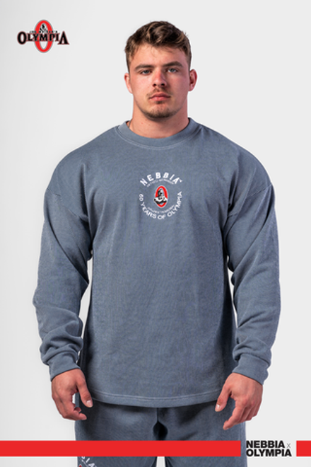 Свитшот Oversized Pullover SIGNATURE 797 Синий