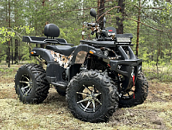 Квадроцикл PROMAX 320 DOMINATOR PRO (2025)