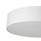 Светильник потолочный Citilux BART CL755290