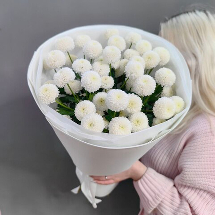 Букет из 7 кустовых хризантем "Ньютон"