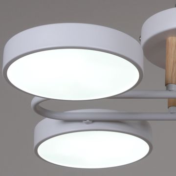 03322-0.3-08 WH+WOOD светильник потолочный