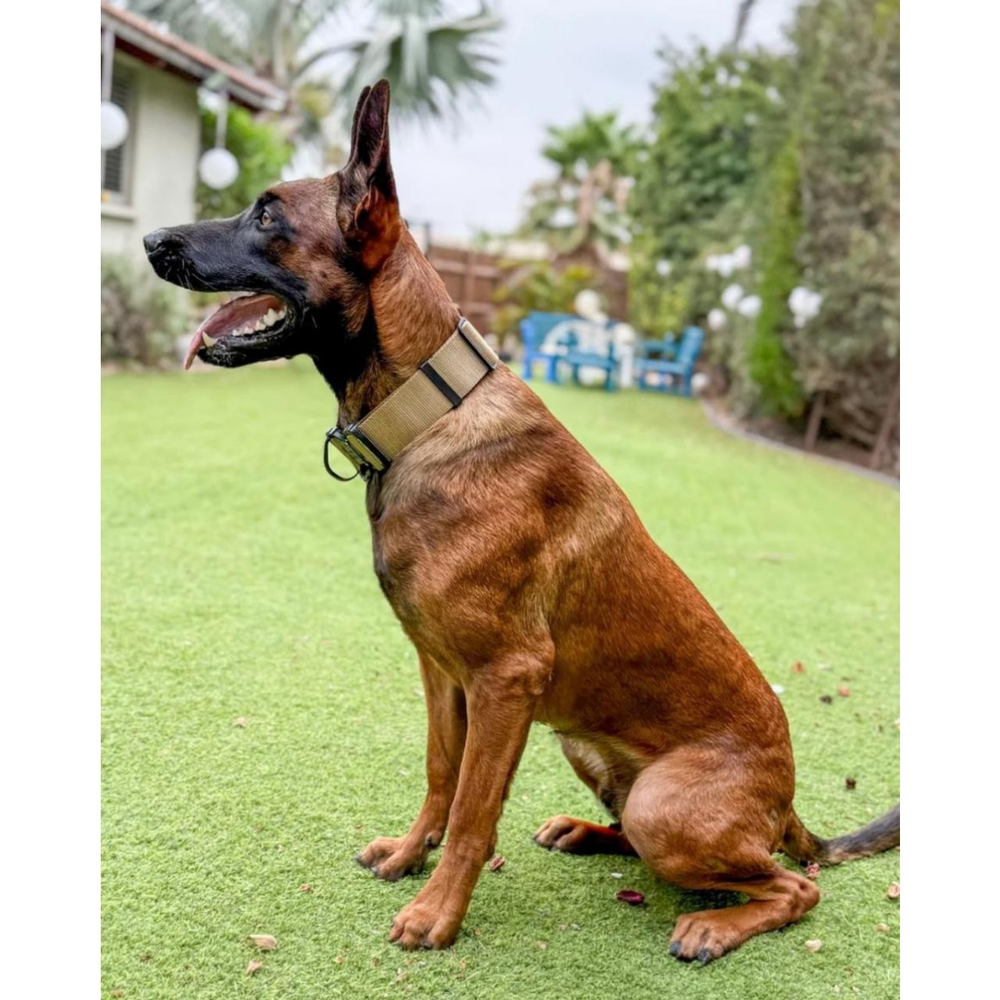 Тактический ошейник с ручкой K9 INDUSTRIES