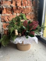 Коробка из хвои и скиммии