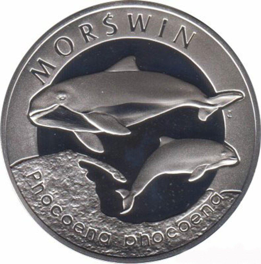 20 злотых Морская свинья (животный мир) 2004 год, Польша. Серебро. PROOF
