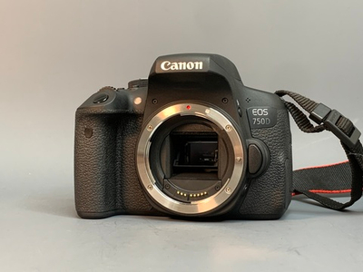 Canon EOS 750D 3.100 кадров