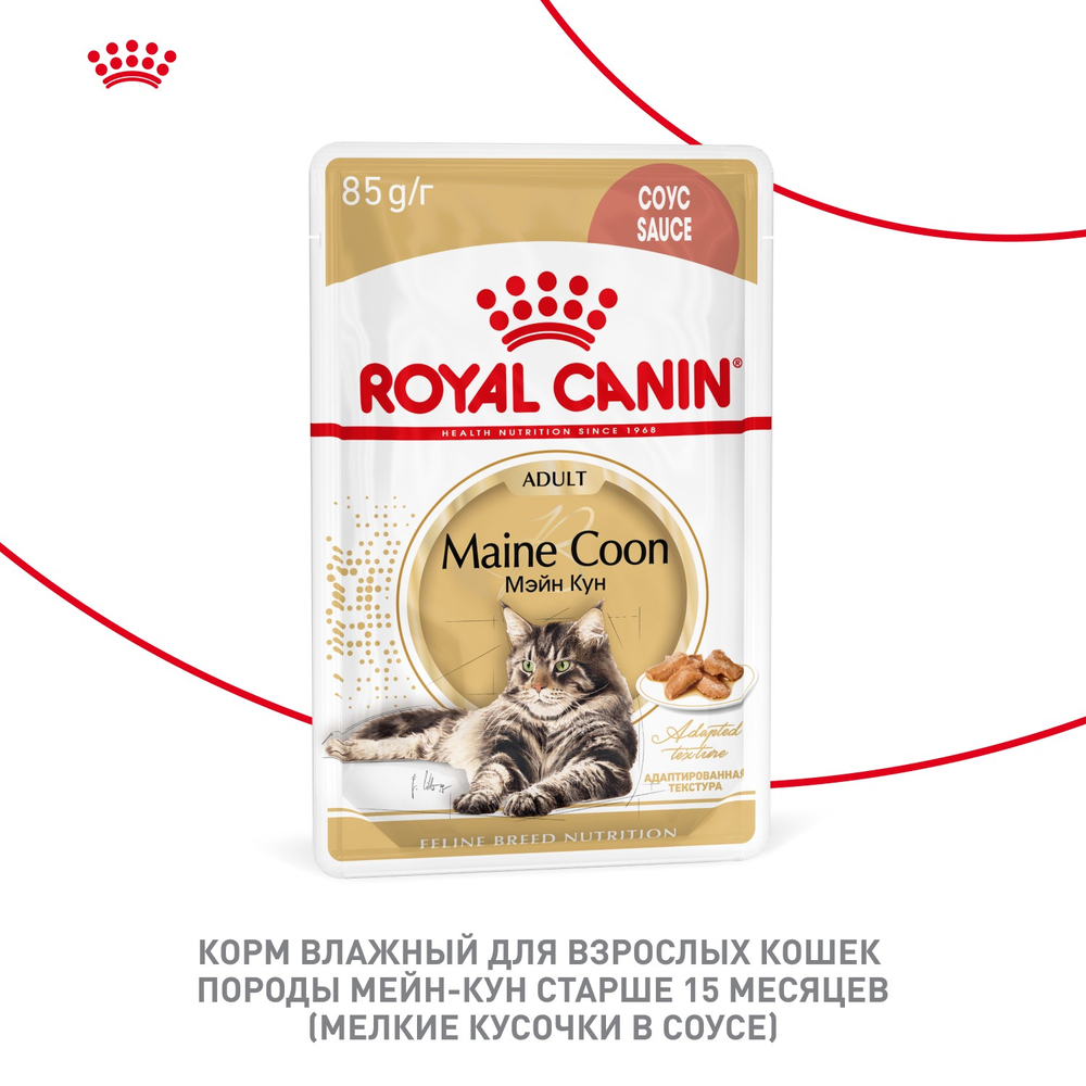 Royal Canin Maine Coon Adult Мейн Кун Эдалт Корм влажный для взрослых кошек породы Мэйн Кун соус 85г