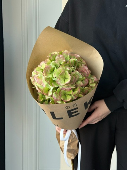 Кулек из гортензии в зеленом оттенке