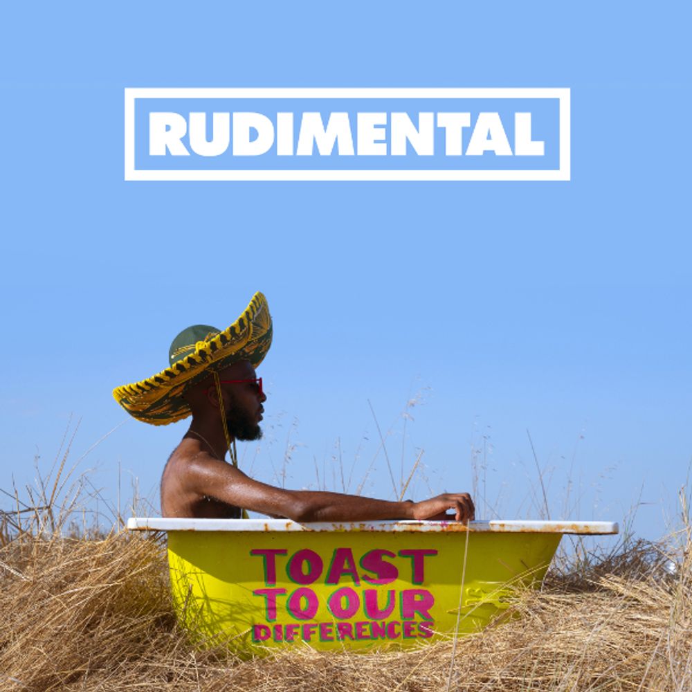 Rudimental / Toast To Our Differences (2LP)