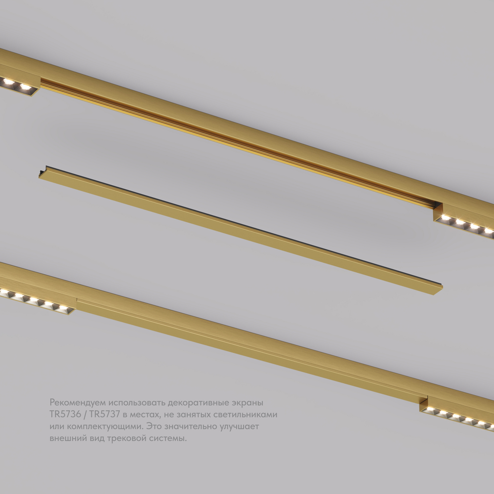 TR5737-SB Декоративная заглушка желоба трека, 50см, для трека Shine, серия Base, сатинированная латунь, алюминий