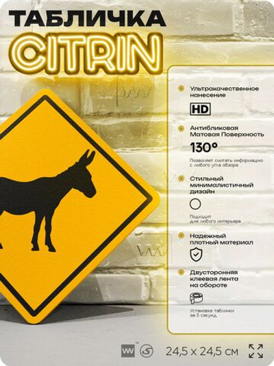 Табличка прикольная "Осторожно, осел" на дверь и стену, информационная и предупреждающая, декоративный знак, 24,5х24,5 см, пластиковая, Айдентика Технолоджи