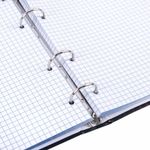 Тетрадь на кольцах А5 165х215 мм, 120 листов, твердый картон, клетка, BRAUBERG, "Anime Girl", 404711