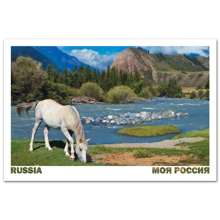 Чибит, Республика Алтай