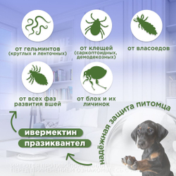 Антигельминтик Спот-он АВЗ Диронет для собак, 4 пипетки