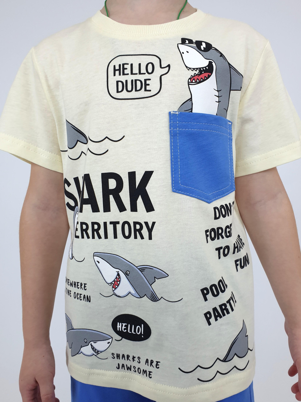 01-85-7 Комплект для мальчика (фуфайка+шорты)