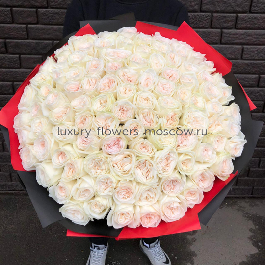 101 Пионовидная роза с запахом белая