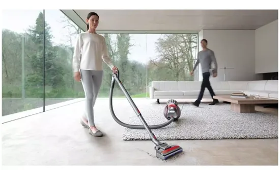 Пылесос Dyson Cinetic Big Ball Animal Pro 2, серый/красный