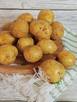 Картофель Гала