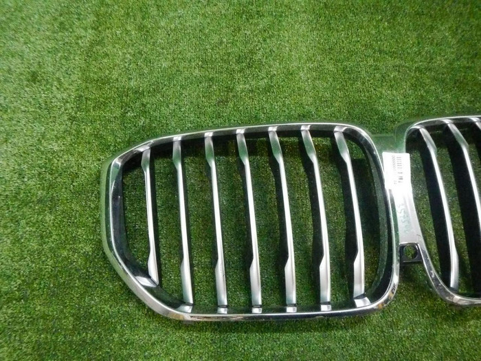 Решетка радиатора BMW X5 G05 (2018-2023)