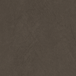 Sandstone Brown PRO Керамогранит коричневый 60х60 матовый R10GR