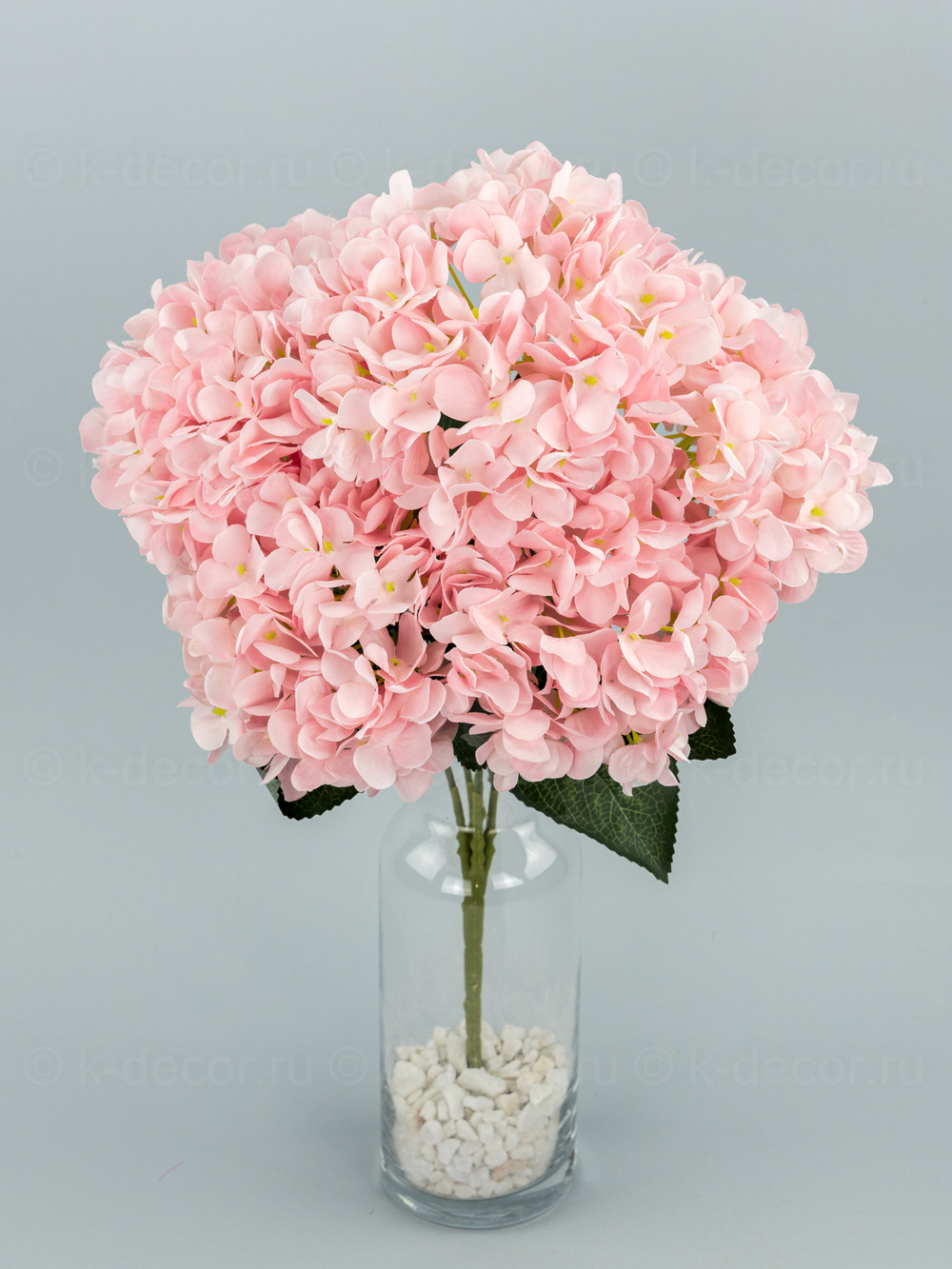 Букет гортензия Садовая