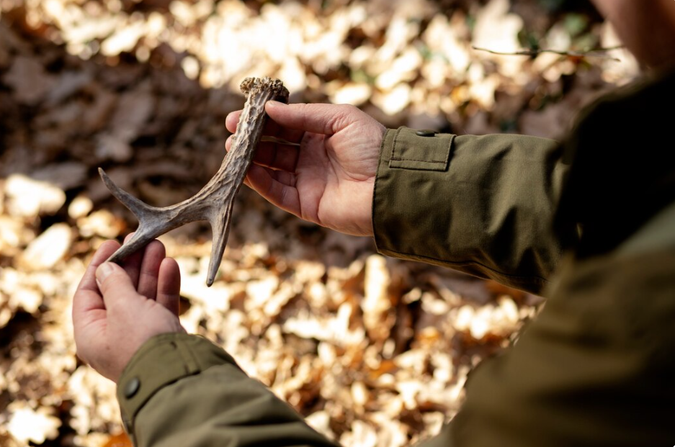 Уход за охотничьим снаряжением: простые способы продлить срок службы экипировки