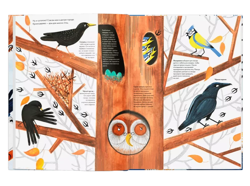 Тысяча и одна птица