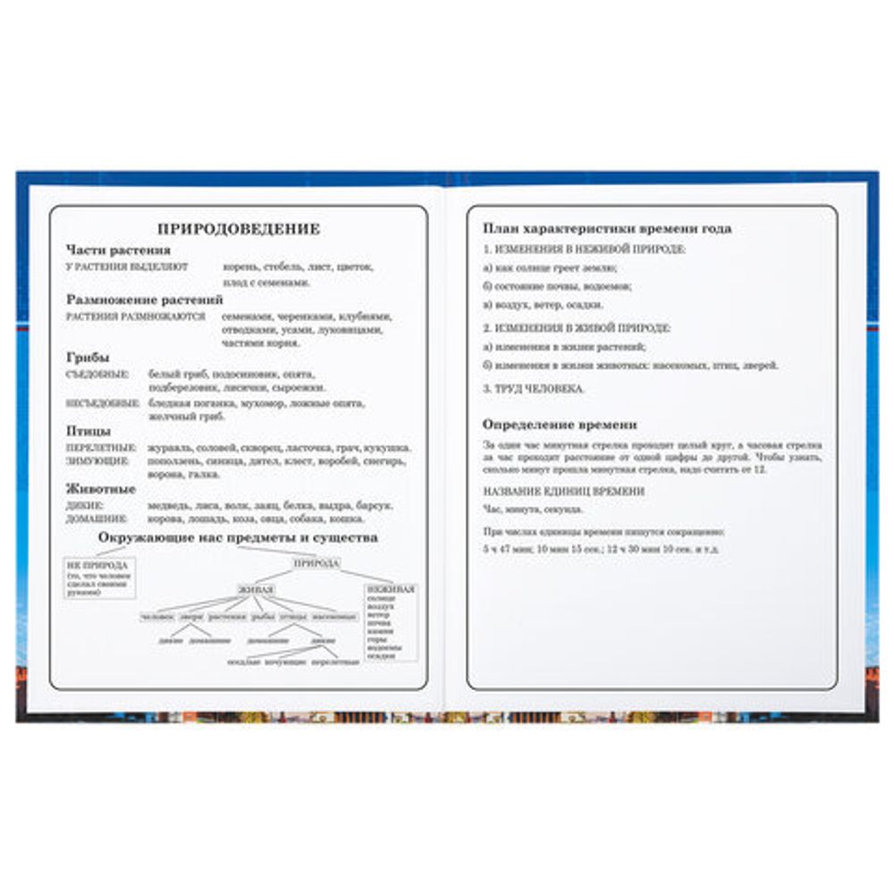 Дневник 1-4 класс 48 л., твердый, BRAUBERG, глянцевая ламинация, с подсказом, "Российский", 106832