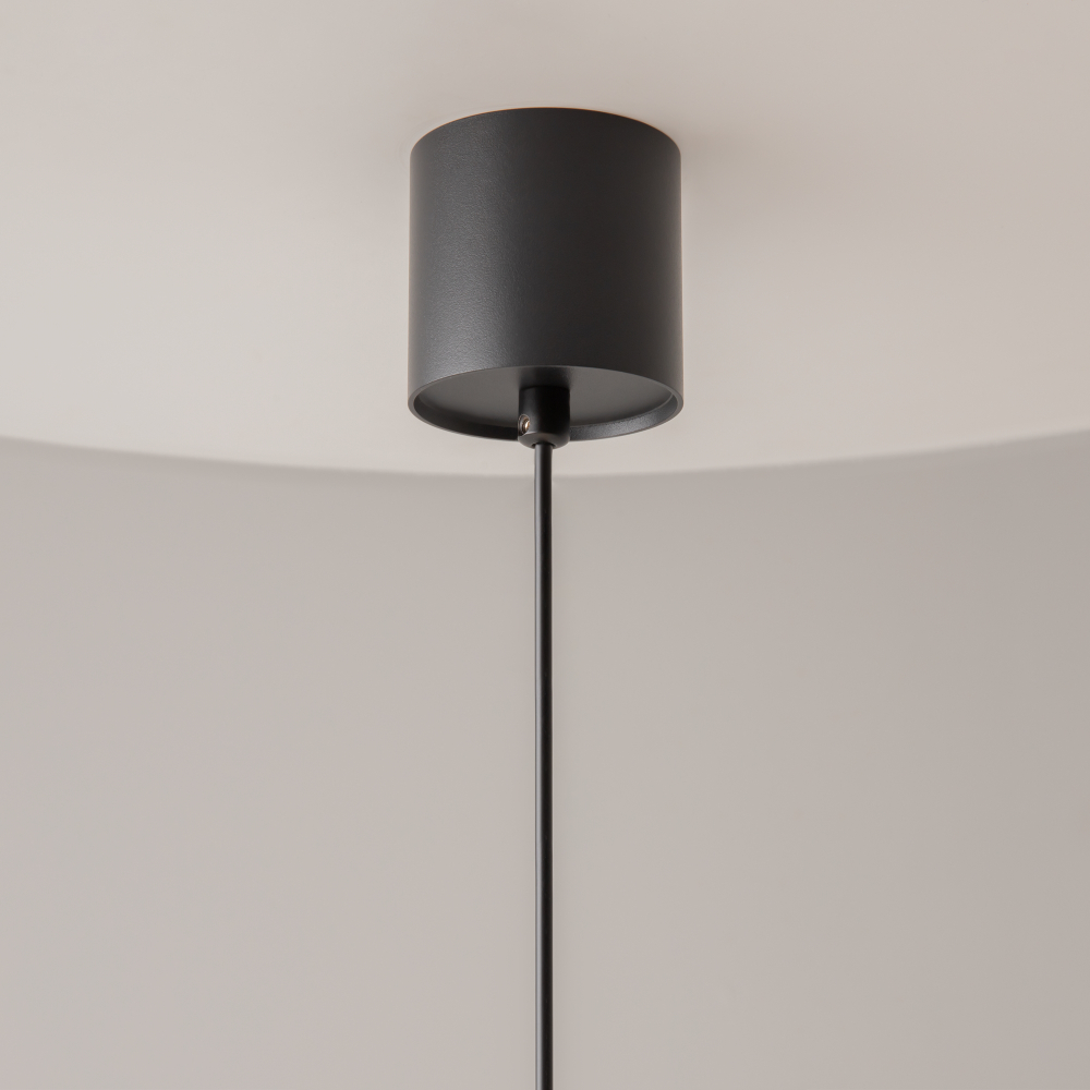 Подвесной светильник Maytoni P100PL-20W4K-B