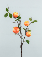 Ветка с яблоками