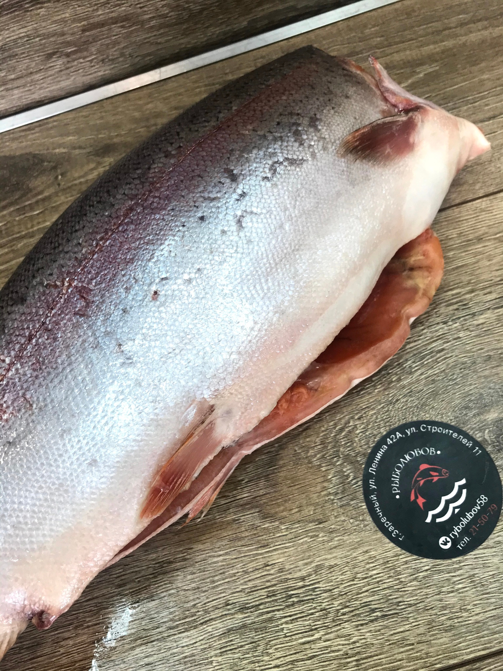 Форель радужная