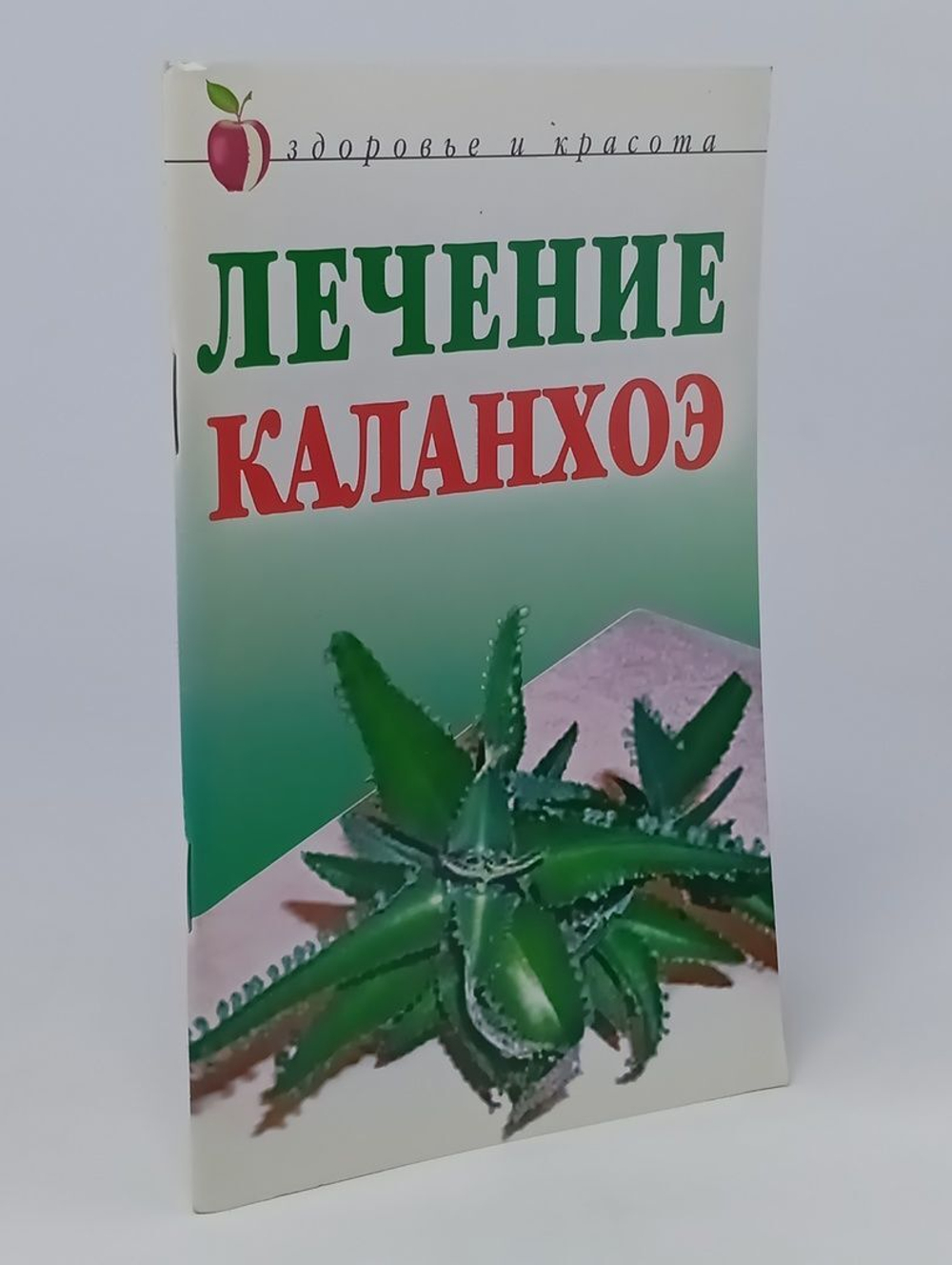 Лечение каланхоэ. Мельник А. В.