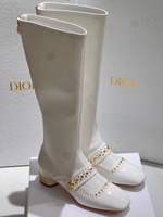 Сапоги Dior