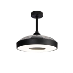 Люстра-вентилятор Mantra COIN 8218